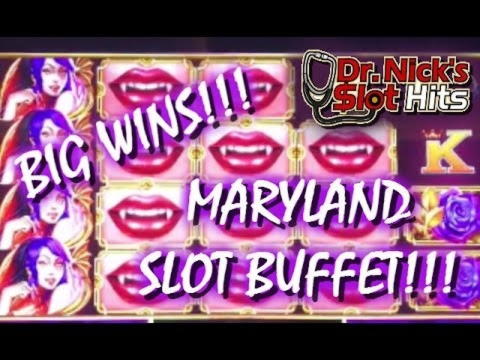 유로 785 Spin Up Casino의 일일 프리롤 슬롯 토너먼트