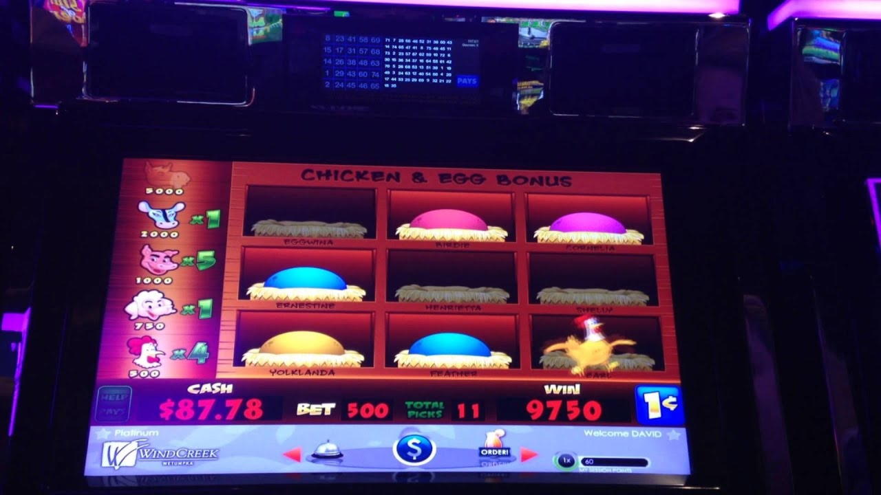 유로 175 Magic Red Casino의 무료 카지노 토너먼트